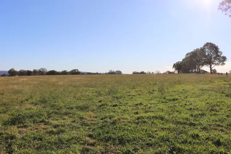 Third view of Homely rural property listing, 389 Oslo Road, Reddestone NSW 2370