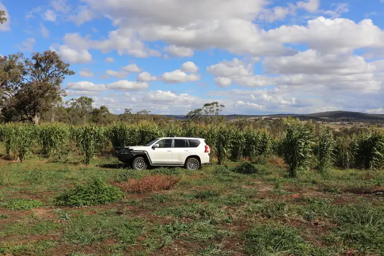 Fifth view of Homely rural property listing, 389 Oslo Road, Reddestone NSW 2370