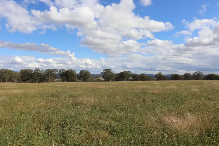 Sixth view of Homely rural property listing, 389 Oslo Road, Reddestone NSW 2370