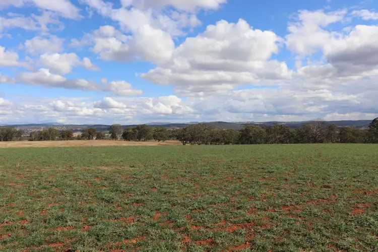 Seventh view of Homely rural property listing, 389 Oslo Road, Reddestone NSW 2370