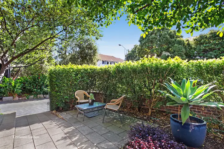 2/63 William Street, Double Bay NSW 2028