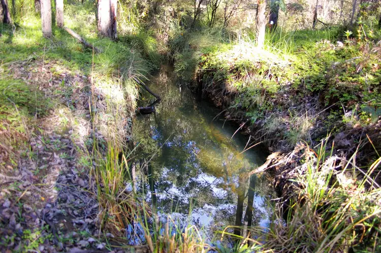 Fifth view of Homely land listing, 269 Gold Gully Road, Nannup WA 6275