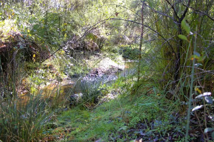 Sixth view of Homely land listing, 269 Gold Gully Road, Nannup WA 6275