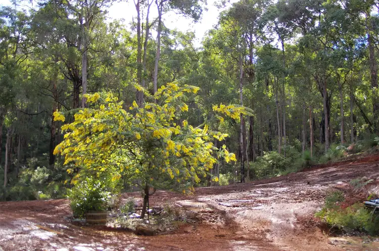 Seventh view of Homely land listing, 269 Gold Gully Road, Nannup WA 6275