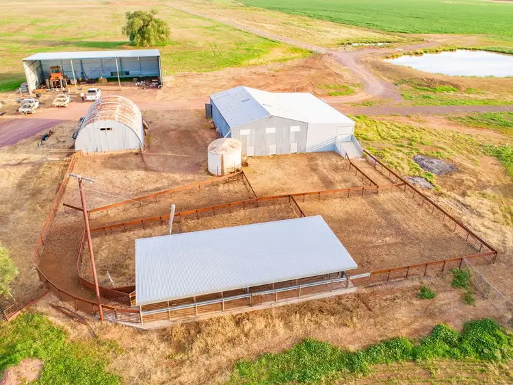 Third view of Homely rural property listing, 58 Sugarloaf Lane, Canowindra NSW 2804