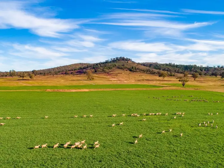 Sixth view of Homely rural property listing, 58 Sugarloaf Lane, Canowindra NSW 2804