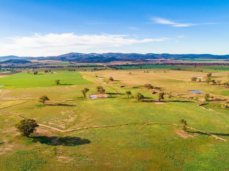 Seventh view of Homely rural property listing, 58 Sugarloaf Lane, Canowindra NSW 2804