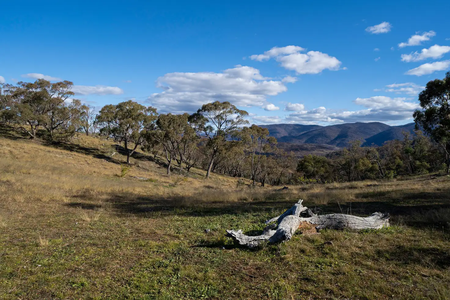 Main view of Homely land listing, 5219 Monaro Highway, Michelago NSW 2620