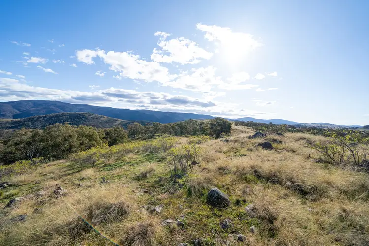 Seventh view of Homely land listing, 5219 Monaro Highway, Michelago NSW 2620