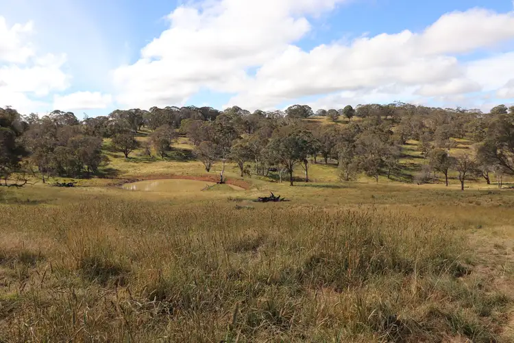 489 Inn Road, Ben Lomond NSW 2365