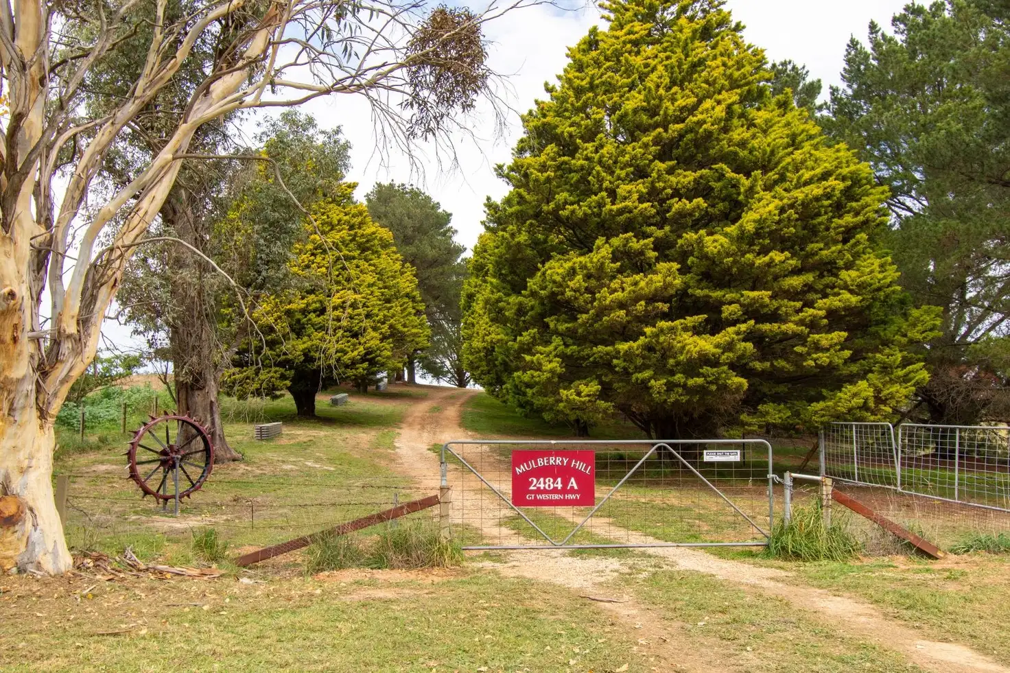 Main view of Homely rural property listing, 2484A Great Western Highway, Meadow Flat NSW 2795