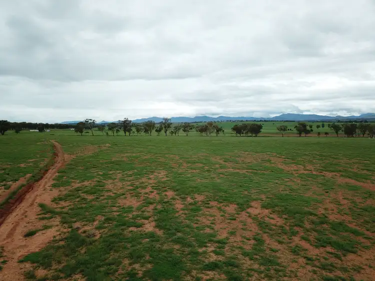 Third view of Homely land listing, Lot 4233 Meadows Lane, Tamworth NSW 2340