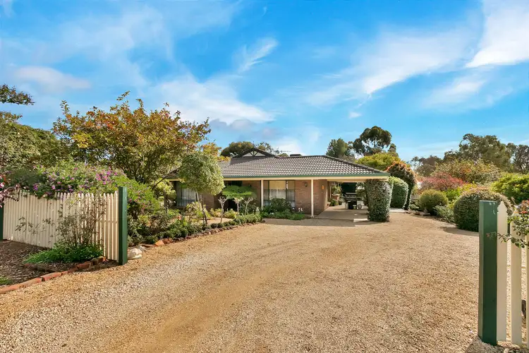 Second view of Homely house listing, 19 Bevilaqua Terrace, Lyndoch SA 5351