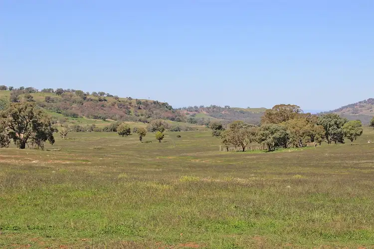 Main view of Homely rural property listing, ' LUMEAH', Coonabarabran NSW 2357