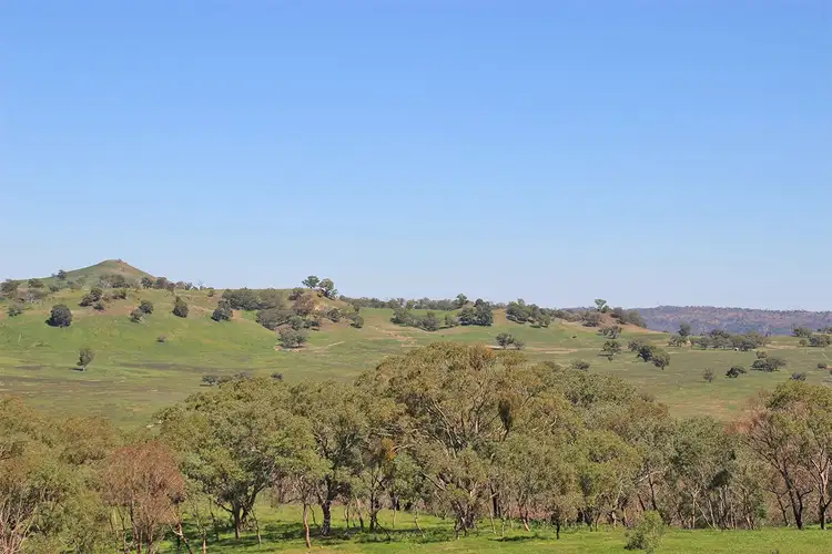 Fifth view of Homely rural property listing, ' LUMEAH', Coonabarabran NSW 2357
