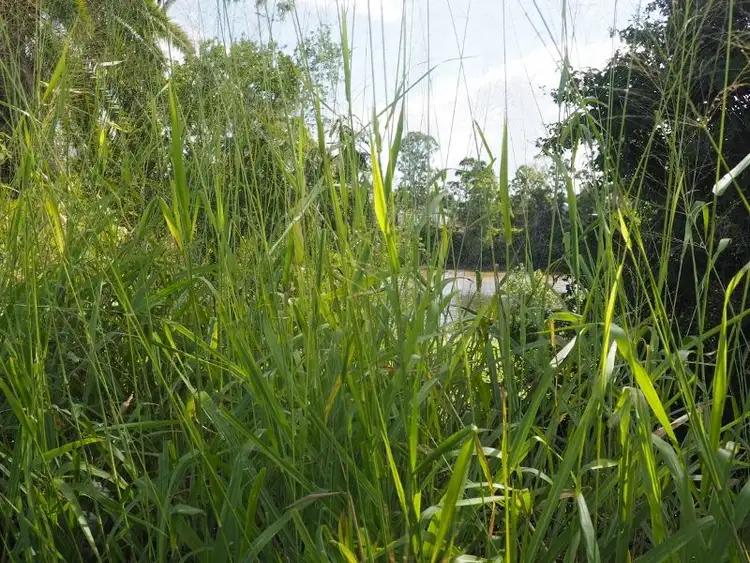 Third view of Homely land listing, 0 Napier Street, Granville QLD 4650