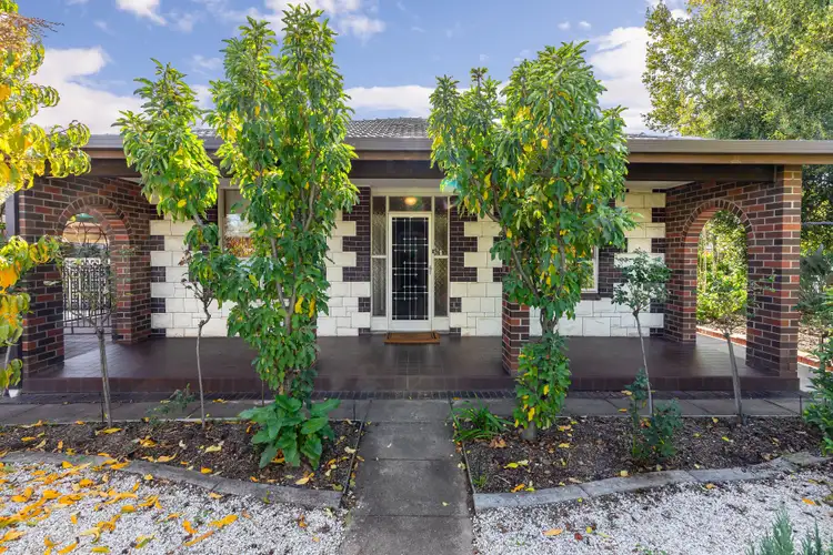 62 Kingston Avenue, Daw Park SA 5041