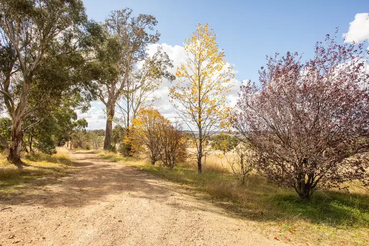 Third view of Homely house listing, 346 Castledoyle Road, Armidale NSW 2350