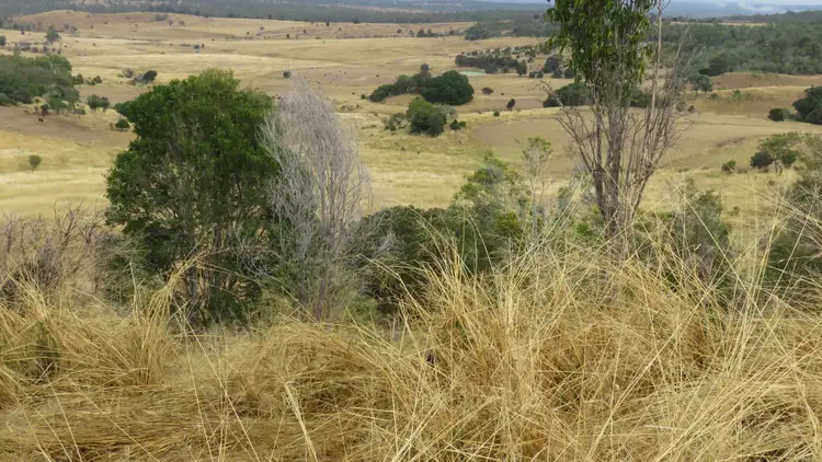 Second view of Homely rural property listing, 31 Howard Road, Speedwell QLD 4613