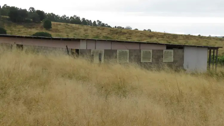 Fifth view of Homely rural property listing, 31 Howard Road, Speedwell QLD 4613