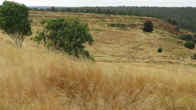 Sixth view of Homely rural property listing, 31 Howard Road, Speedwell QLD 4613