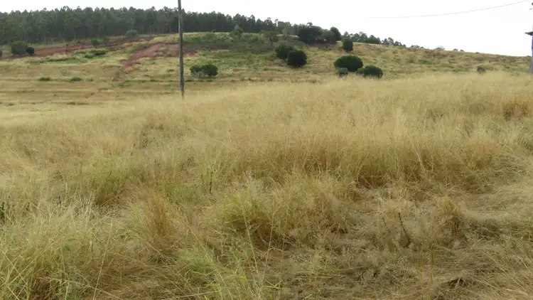 Seventh view of Homely rural property listing, 31 Howard Road, Speedwell QLD 4613