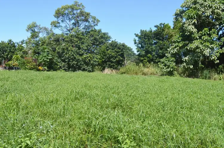 Second view of Homely land listing, 43 Shelly Court, Mission Beach QLD 4852