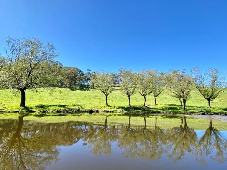 Third view of Homely rural property listing, 394 Mount Olive Road, Oberon NSW 2787