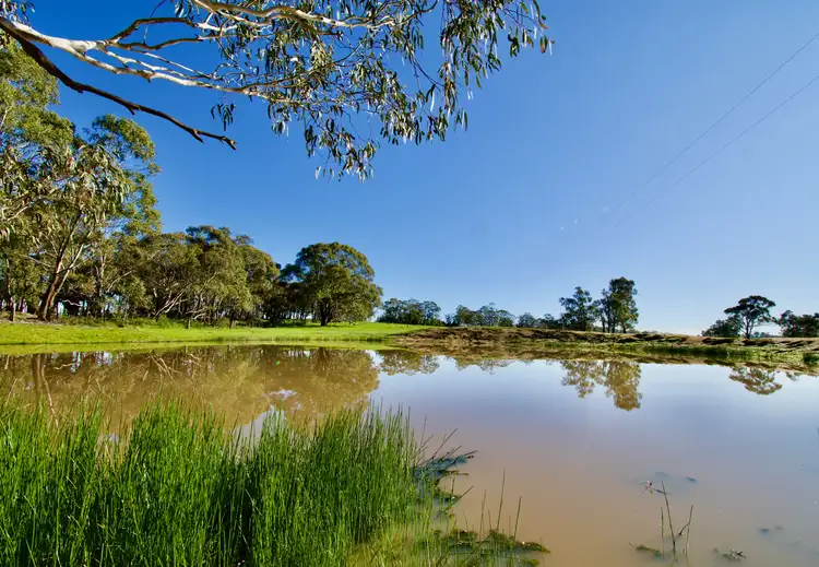 Fifth view of Homely rural property listing, 394 Mount Olive Road, Oberon NSW 2787