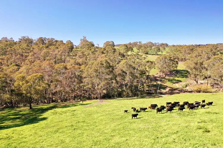 Seventh view of Homely rural property listing, 394 Mount Olive Road, Oberon NSW 2787