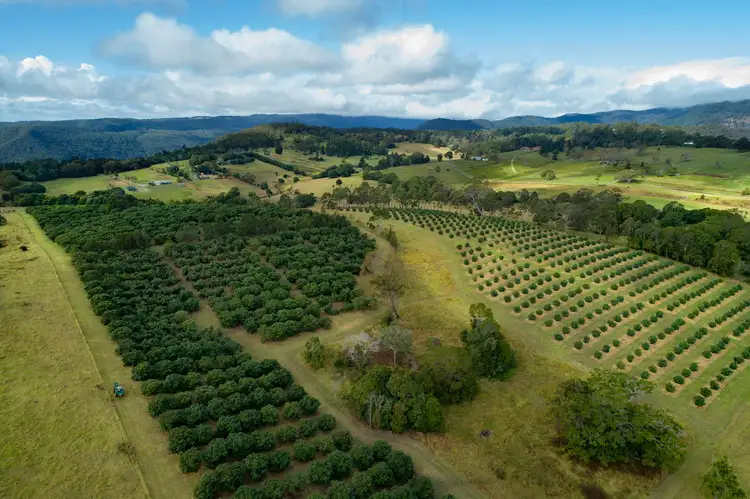 392 Binna Burra Road, Beechmont QLD 4211