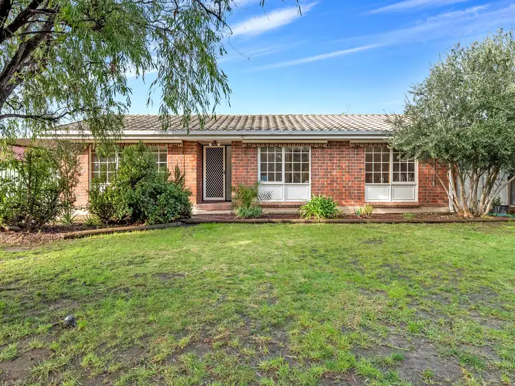 8 Hammond Avenue, Morphett Vale SA 5162