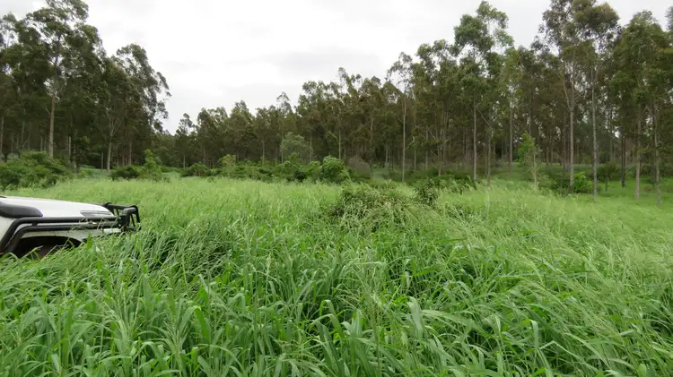 Lot 4 Pedersens Road, Cushnie QLD 4608