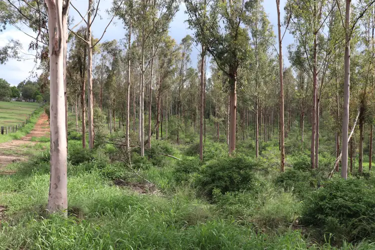 Second view of Homely rural property listing, Lot 2 Coolabunia-Malar Road, Hodgleigh QLD 4610