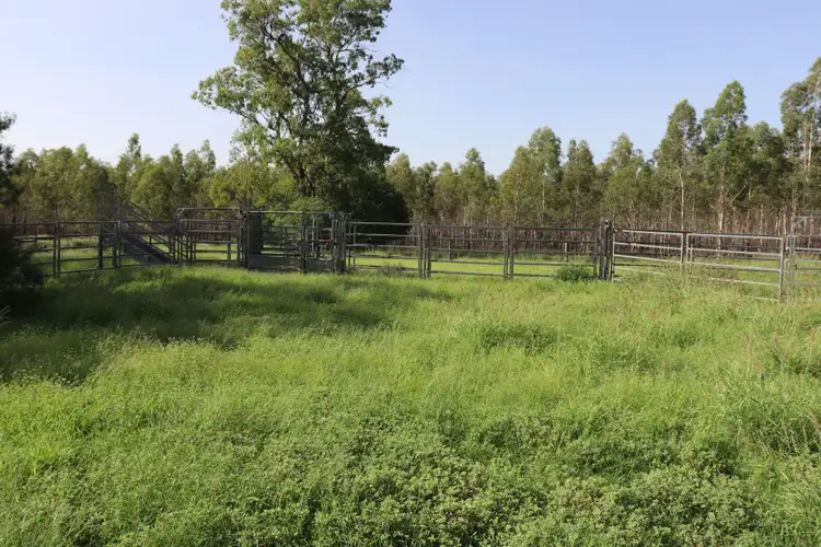 Second view of Homely rural property listing, Lot 125 Jinghi Gully Road, Jandowae QLD 4410