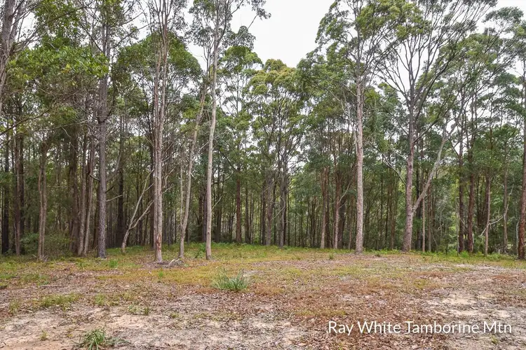 Fifth view of Homely land listing, 13 Rainer Drive, Tamborine Mountain QLD 4272