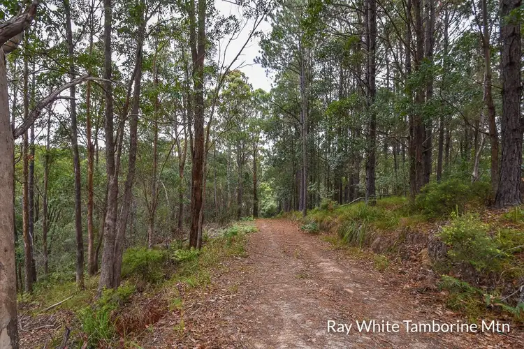 Seventh view of Homely land listing, 13 Rainer Drive, Tamborine Mountain QLD 4272