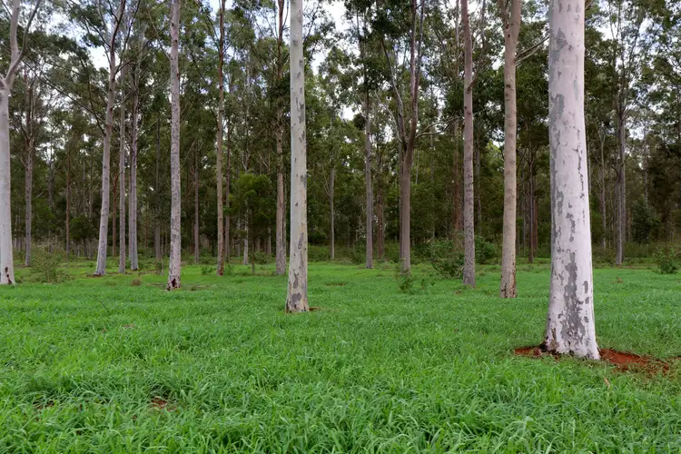 Lot 189 Birt Road, Memerambi QLD 4610