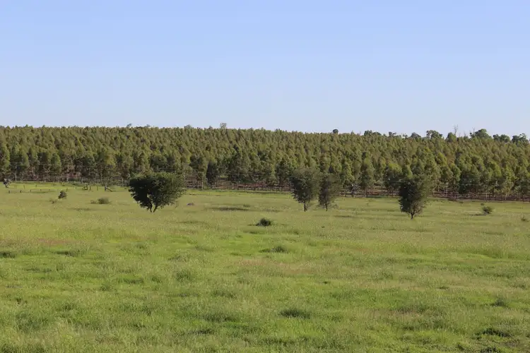 Lot 139 Old Rosevale Road, Jandowae QLD 4410