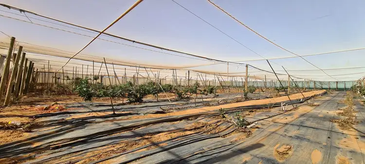 Third view of Homely land listing, 24 Margaret Row, Carnarvon WA 6701