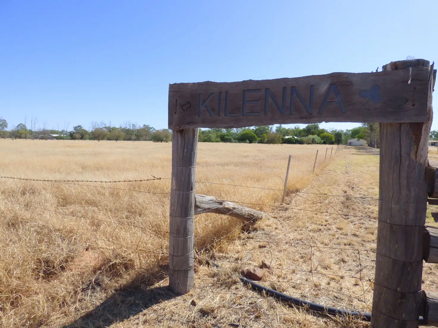 Main view of Homely house listing, 12663 Carnarvon Highway, St George QLD 4487