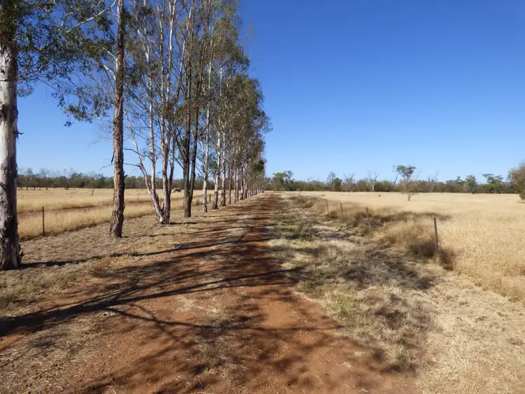 Fourth view of Homely house listing, 12663 Carnarvon Highway, St George QLD 4487