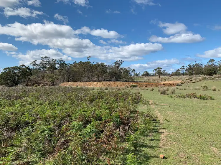 Main view of Homely rural property listing, 10137 Tasman Highway, Little Swanport TAS 7190