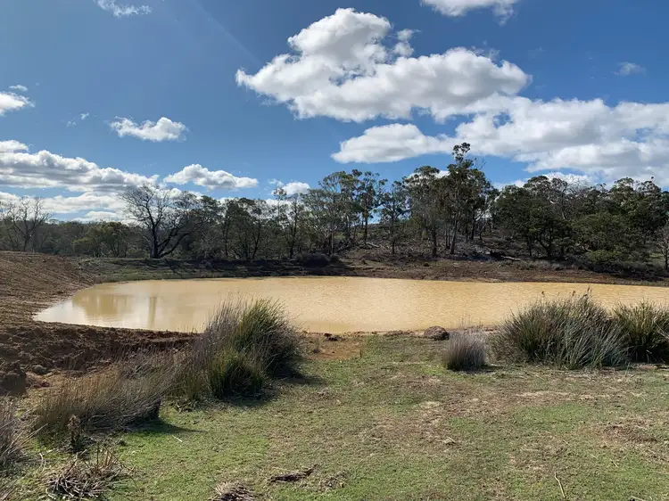 Fourth view of Homely rural property listing, 10137 Tasman Highway, Little Swanport TAS 7190