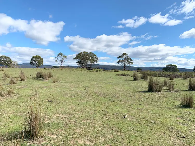 Fifth view of Homely rural property listing, 10137 Tasman Highway, Little Swanport TAS 7190
