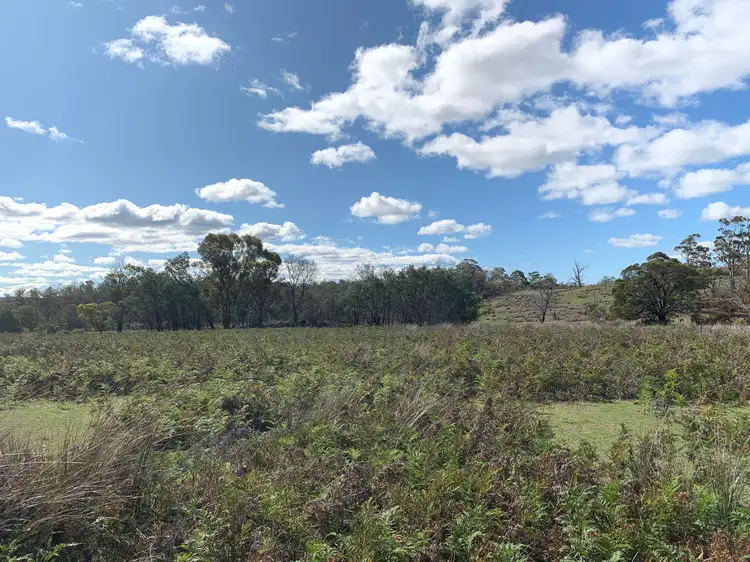 Seventh view of Homely rural property listing, 10137 Tasman Highway, Little Swanport TAS 7190