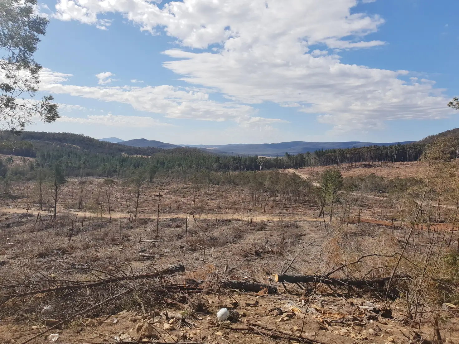 Main view of Homely rural property listing, 452 Ribbon Gum Road, Krawarree, Braidwood NSW 2622