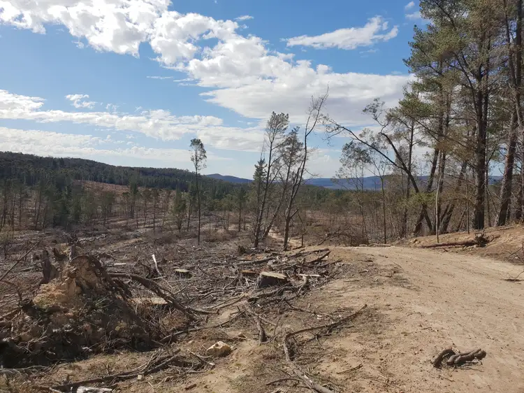 Second view of Homely rural property listing, 452 Ribbon Gum Road, Krawarree, Braidwood NSW 2622