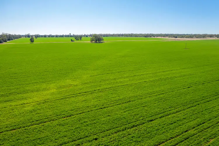 Third view of Homely rural property listing, 3502 Numalla Road, Peak Hill NSW 2869
