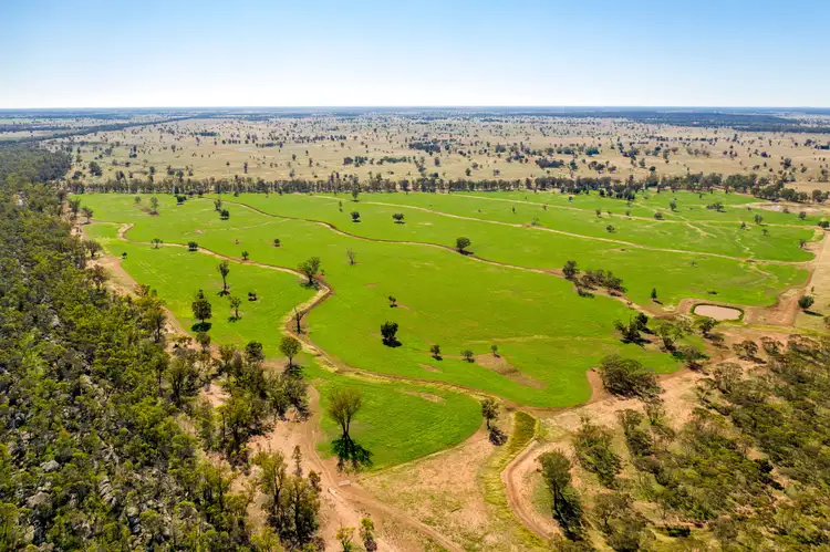 Fifth view of Homely rural property listing, 3502 Numalla Road, Peak Hill NSW 2869